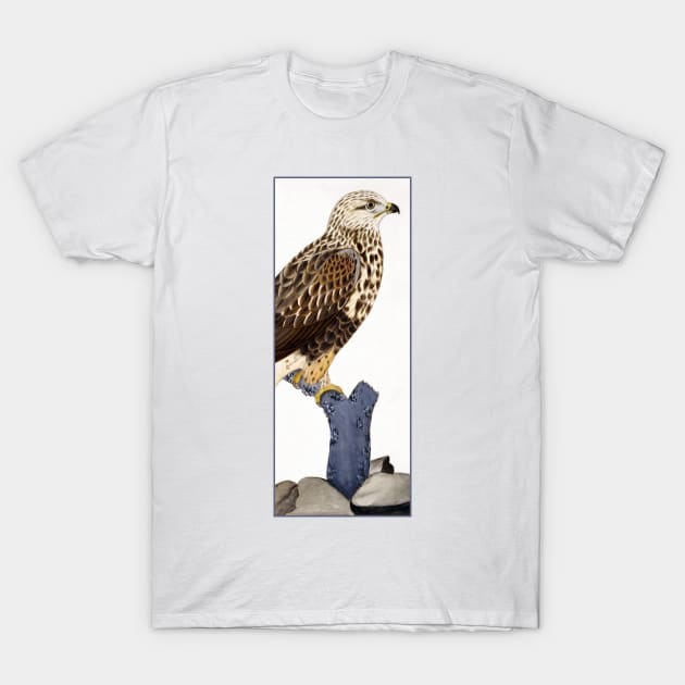 Buteo lagopus by Ferdinand von Wright T-Shirt by academic-art